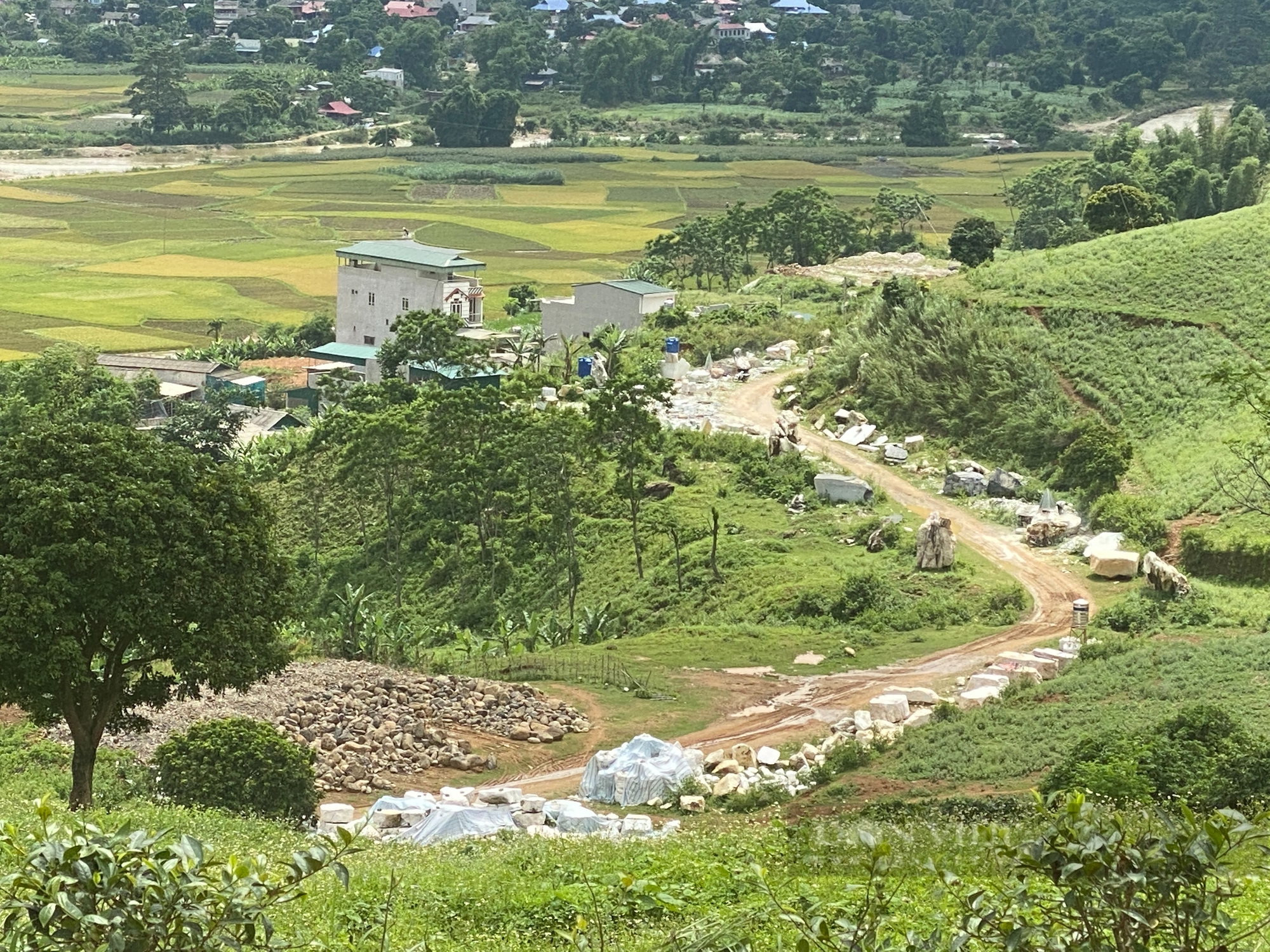 Chủ tịch UBND tỉnh Yên Bái: Bị động, thiếu quyết liệt trong bảo vệ “Những ngọn núi sắc màu” - Ảnh 12.