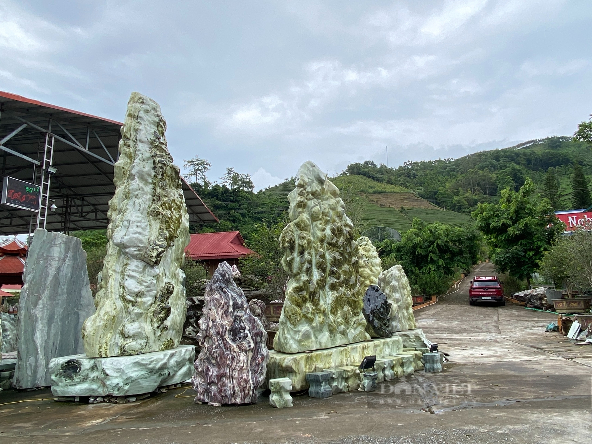 Chủ tịch UBND tỉnh Yên Bái: Bị động, thiếu quyết liệt trong bảo vệ “Những ngọn núi sắc màu” - Ảnh 14.