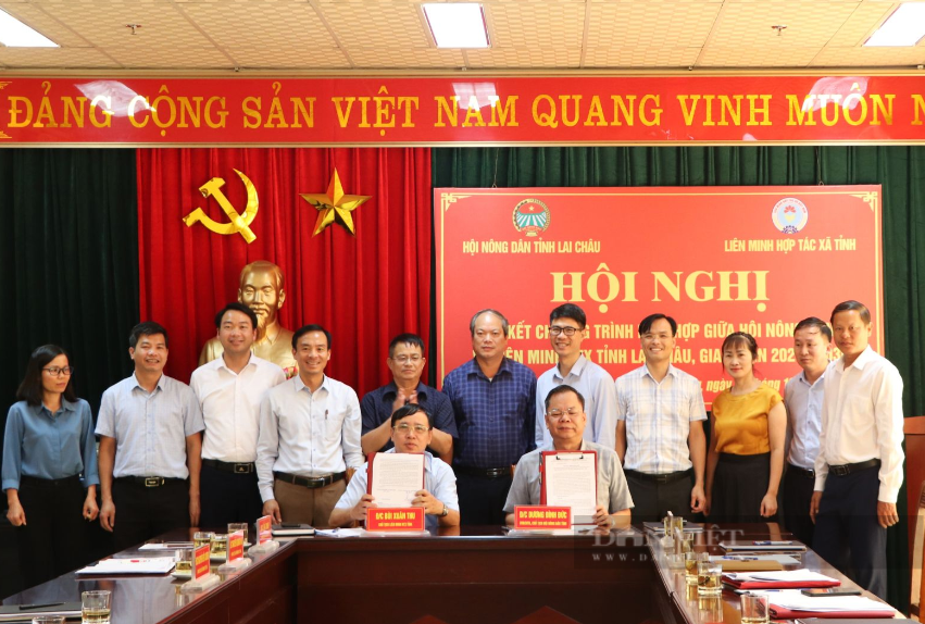 Hội Nông dân tỉnh Lai Châu ký kết chương trình hợp tác với Liên minh hợp tác xã giai đoạn 2024-2030 - Ảnh 3.