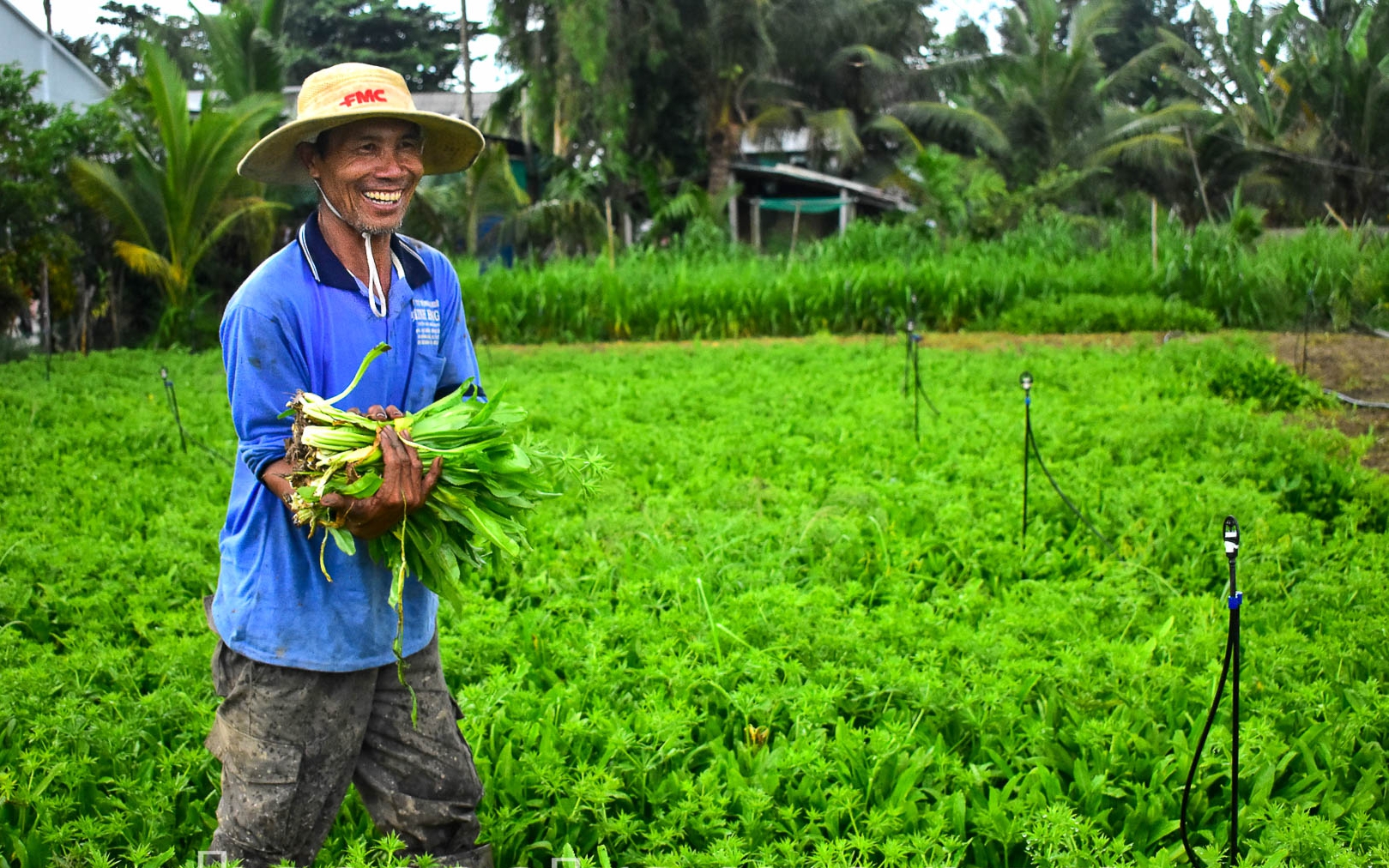 Tỷ phú Long An nuôi cá cảnh, toàn con vật đẹp hút hồn là một nghệ nhân nổi tiểng cả nước - Ảnh 1.