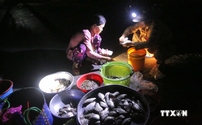 Chợ ma Tha La ở An Giang họp nửa đêm, trên trời tối om, dưới la liệt cá đồng ngon dưới ánh đèn pin- Ảnh 1.