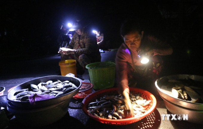 Chợ ma Tha La ở An Giang họp nửa đêm, trên trời tối om, dưới la liệt cá đồng ngon dưới ánh đèn pin- Ảnh 4.