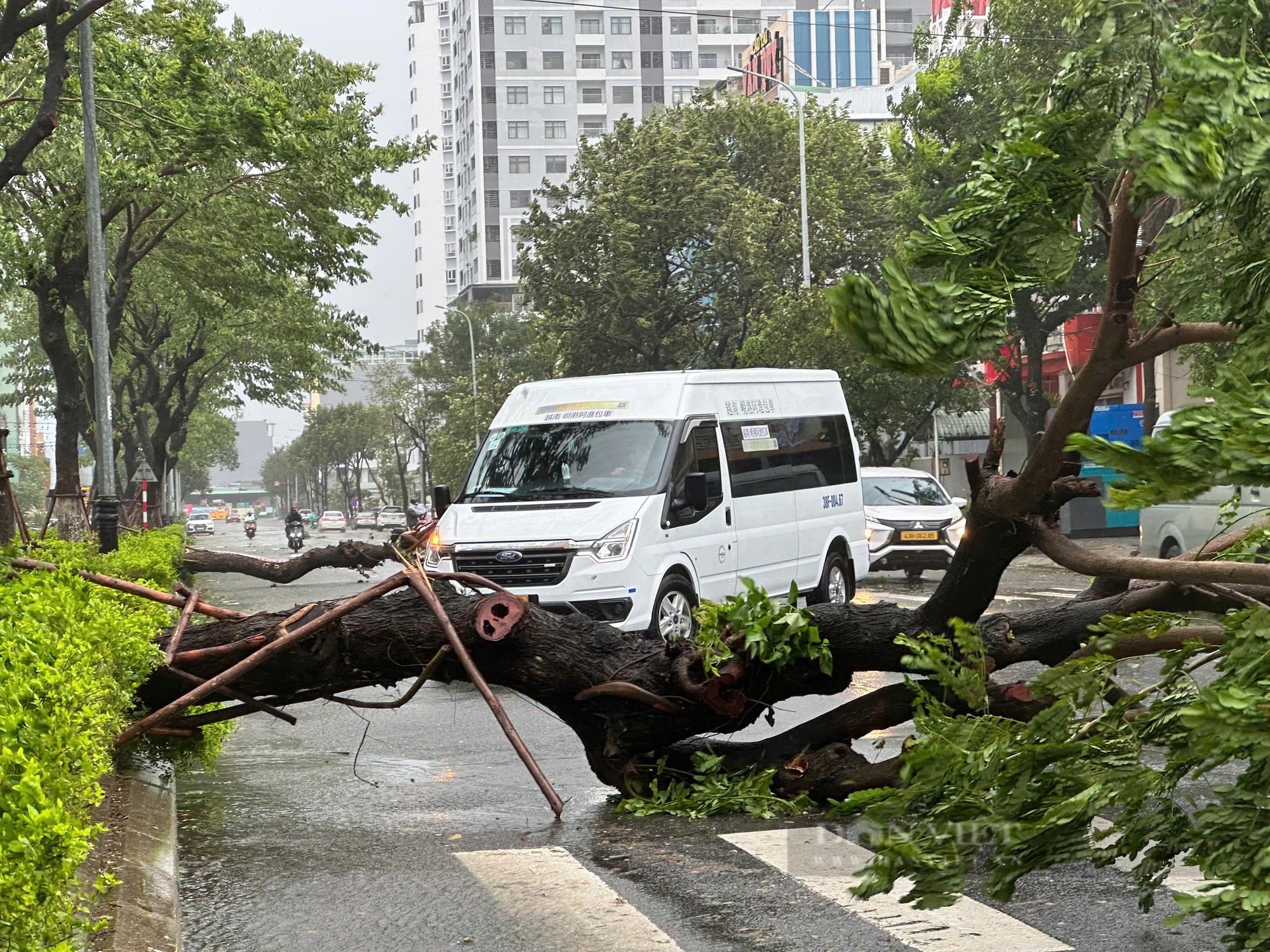 Cập nhật bão số 6: Đang áp sát các tỉnh Quảng Trị - Quảng Nam, nhiều nơi đã có mưa rất to - Ảnh 16.