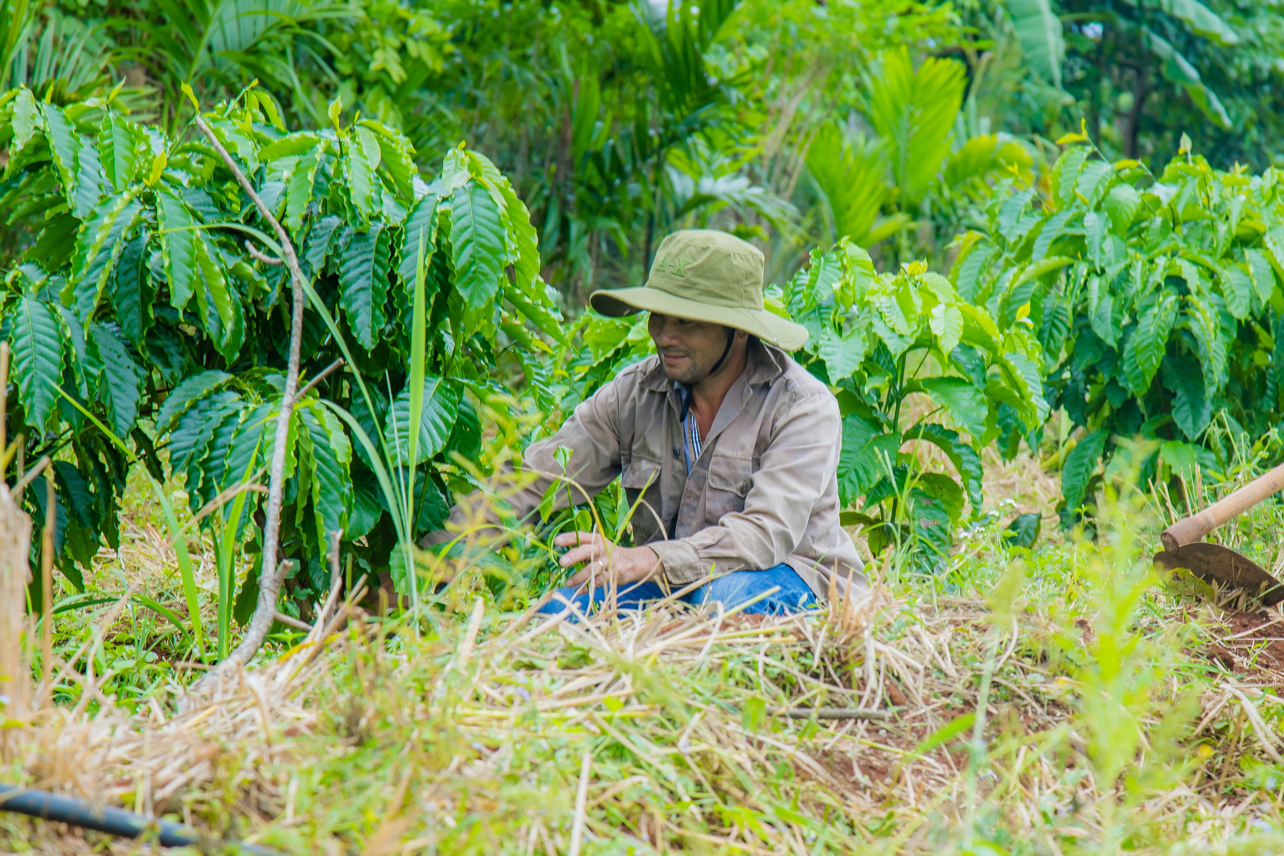 Agribank Đông Gia Lai - Thúc đẩy phát triển kinh tế, nâng cao chất lượng cuộc sống - Ảnh 4.