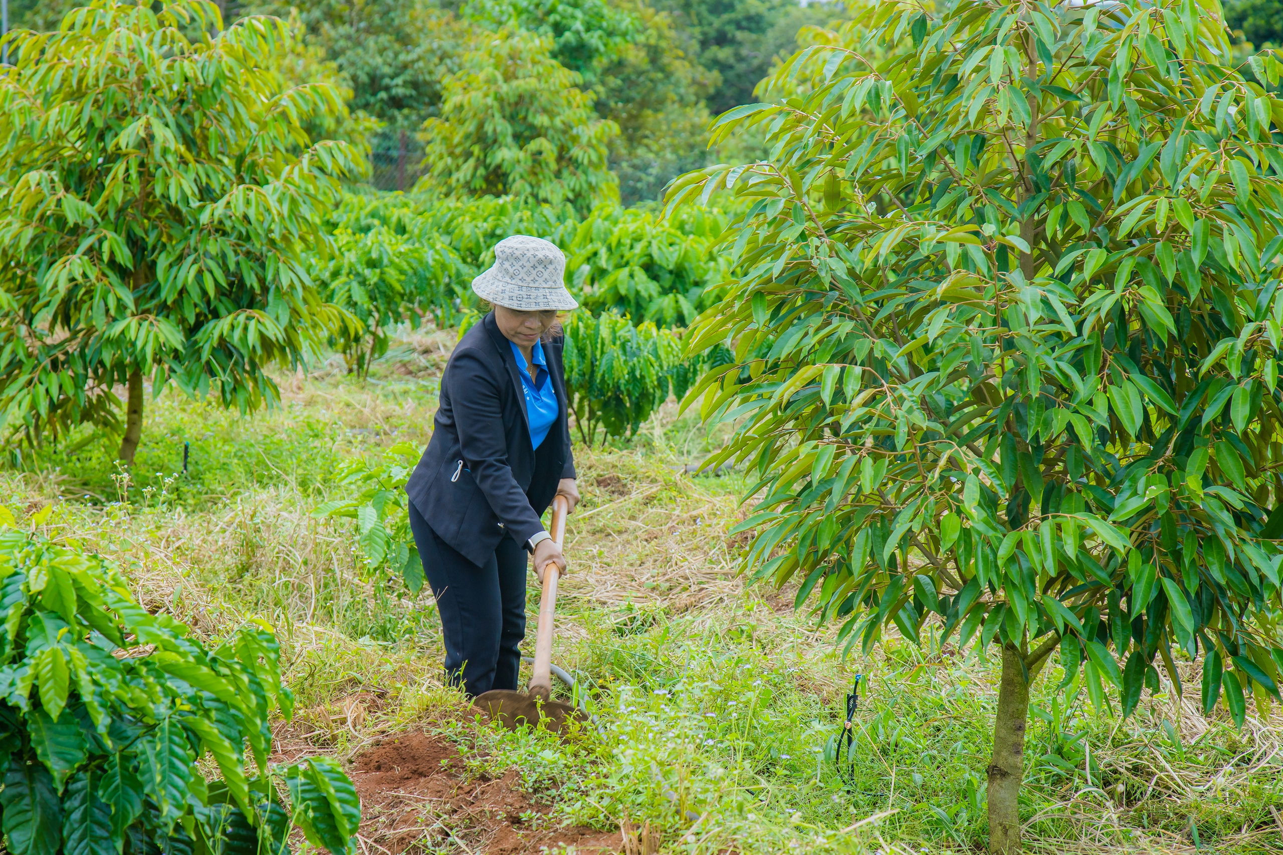 Agribank Đông Gia Lai - Thúc đẩy phát triển kinh tế, nâng cao chất lượng cuộc sống - Ảnh 7.