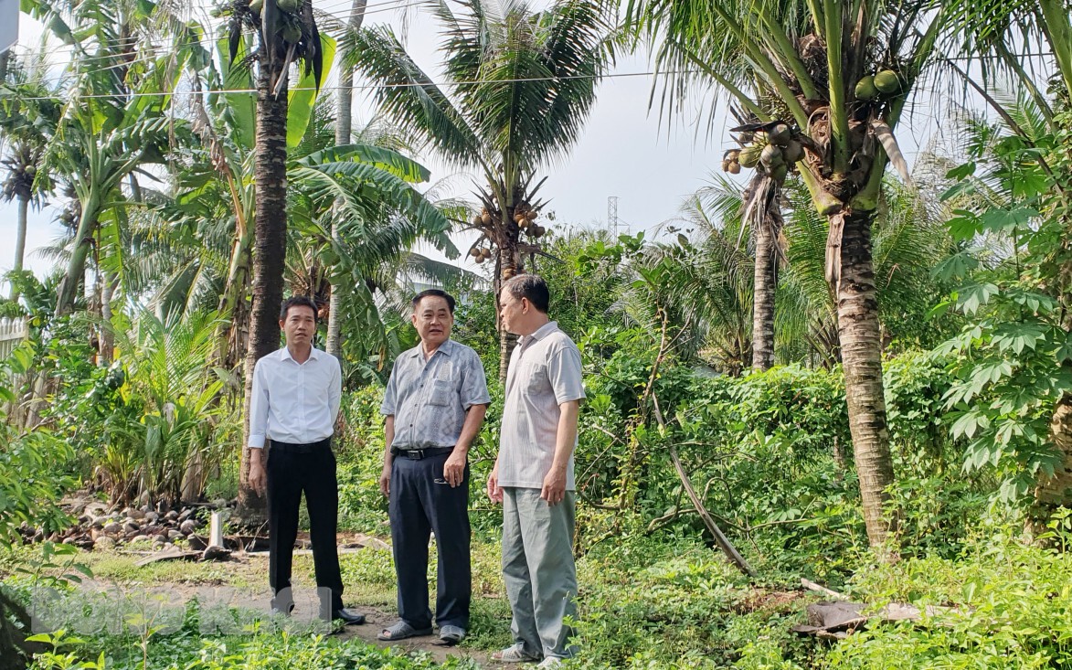 Chà và chân xám, động vật hoang dã có trong sách Đỏ ngồi trên cây rừng Kon Ka Kinh ở Gia Lai - Ảnh 3.