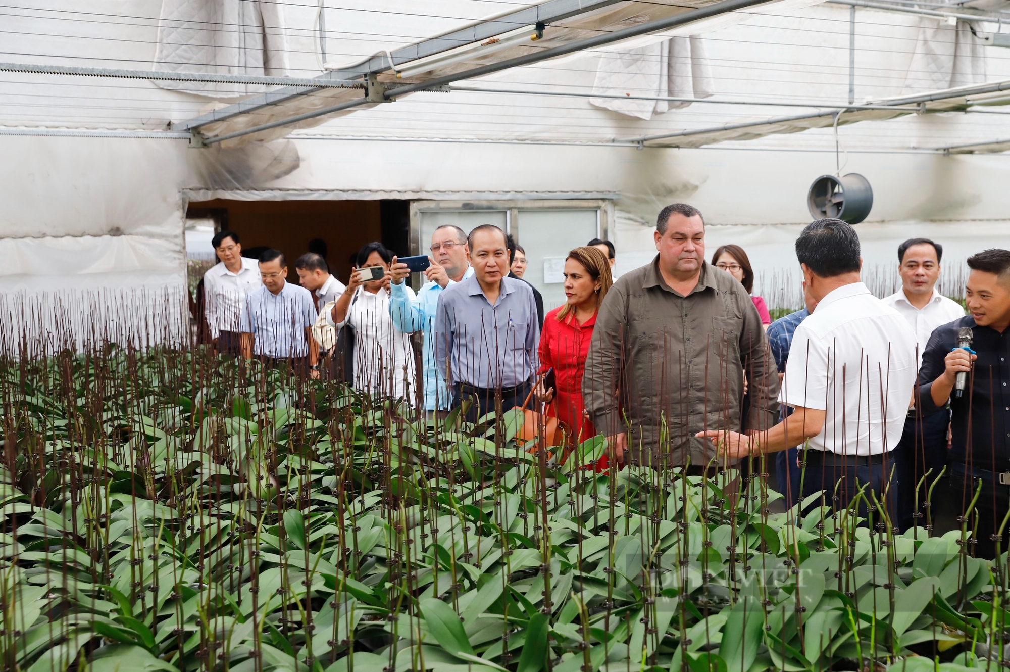 Hội Tiểu nông Cuba ấn tượng với mô hình trồng lan mang lại doanh thu hơn 100 tỷ đồng của nông dân Hải Phòng - Ảnh 1.