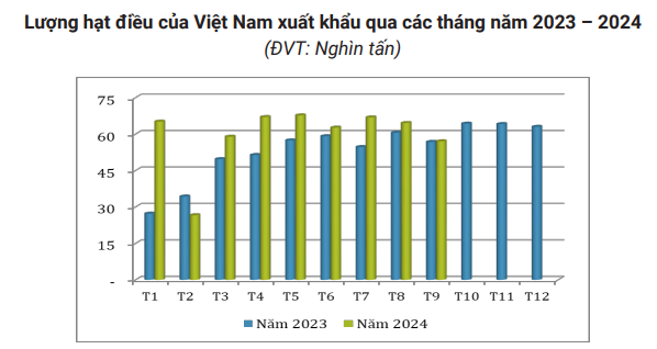 Giá xuất khẩu hạt điều của Việt Nam ở mức cao nhất kể từ tháng 01/2024 - Ảnh 1.