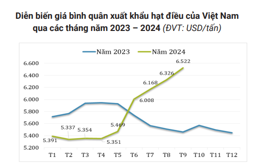 Giá xuất khẩu hạt điều của Việt Nam ở mức cao nhất kể từ tháng 01/2024 - Ảnh 2.