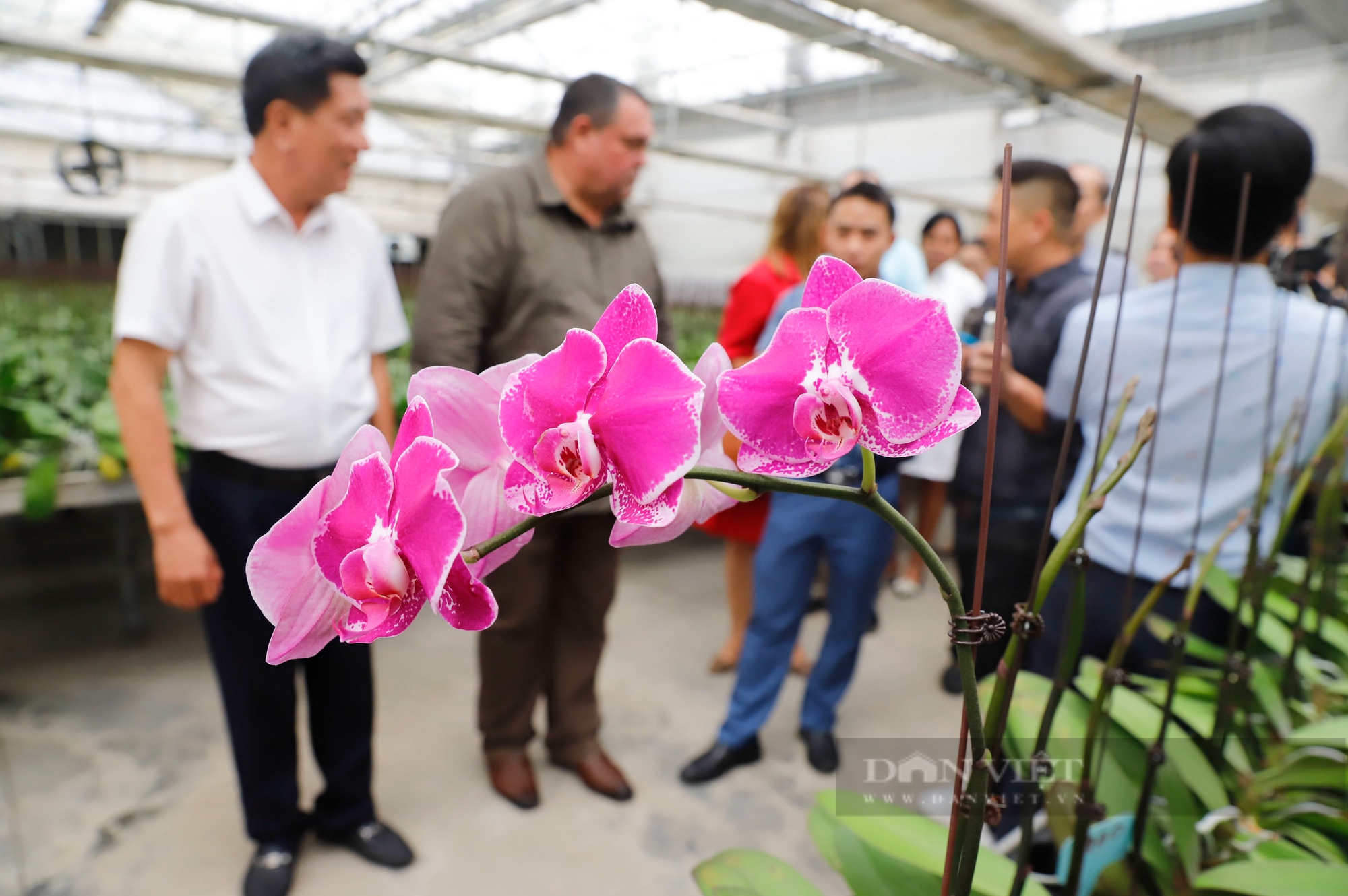 Hội Tiểu nông Cuba ấn tượng với mô hình trồng lan mang lại doanh thu hơn 100 tỷ đồng của nông dân Hải Phòng - Ảnh 4.