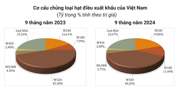 Giá xuất khẩu hạt điều của Việt Nam ở mức cao nhất kể từ tháng 01/2024 - Ảnh 5.