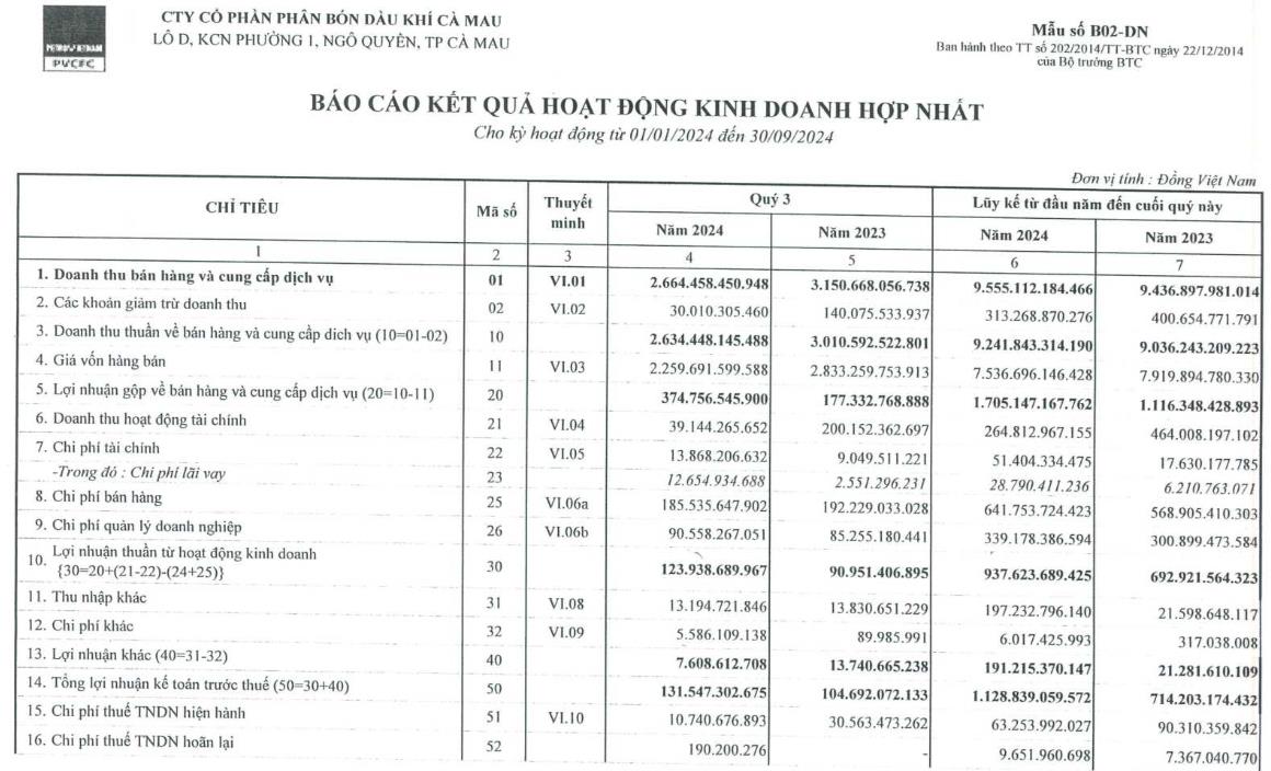 Đạm Cà Mau vượt 33% kế hoạch lợi nhuận năm chỉ sau 9 tháng - Ảnh 1.