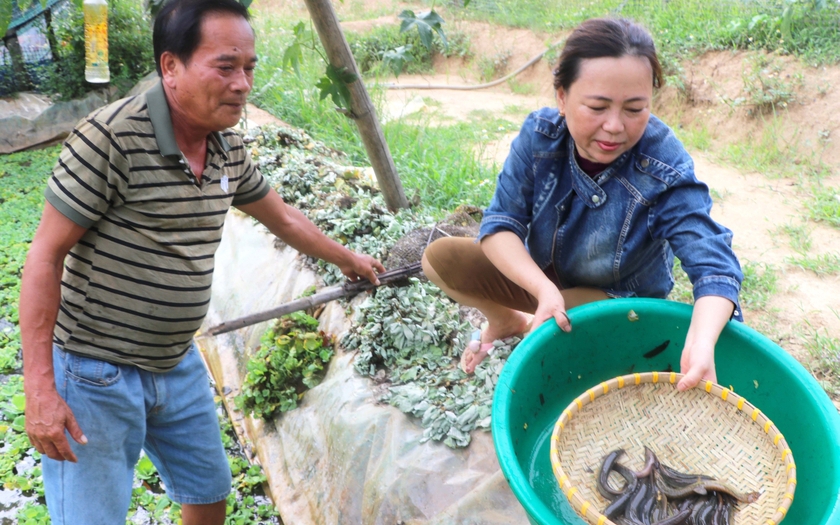 Đồ thủ công mỹ nghệ đang Hot từ cây tre, làm con chim lạ đong đưa cổ, vỗ đôi cánh ở Quảng Ngãi - Ảnh 2.