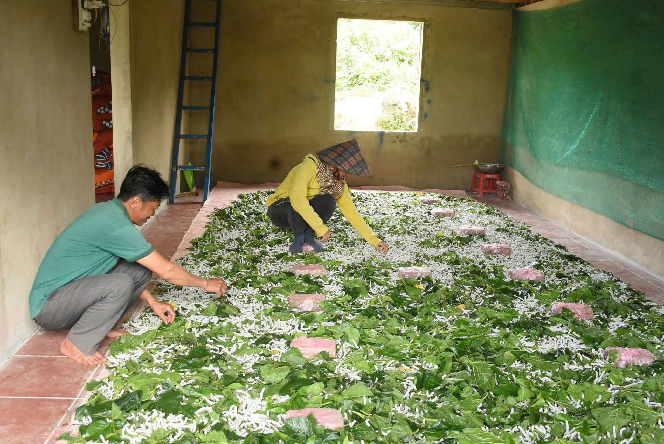 Hội Nông dân TP Hà Nội trao đổi kinh nghiệm giới thiệu, quảng bá sản phẩm nông sản tại tỉnh Kon Tum - Ảnh 2.