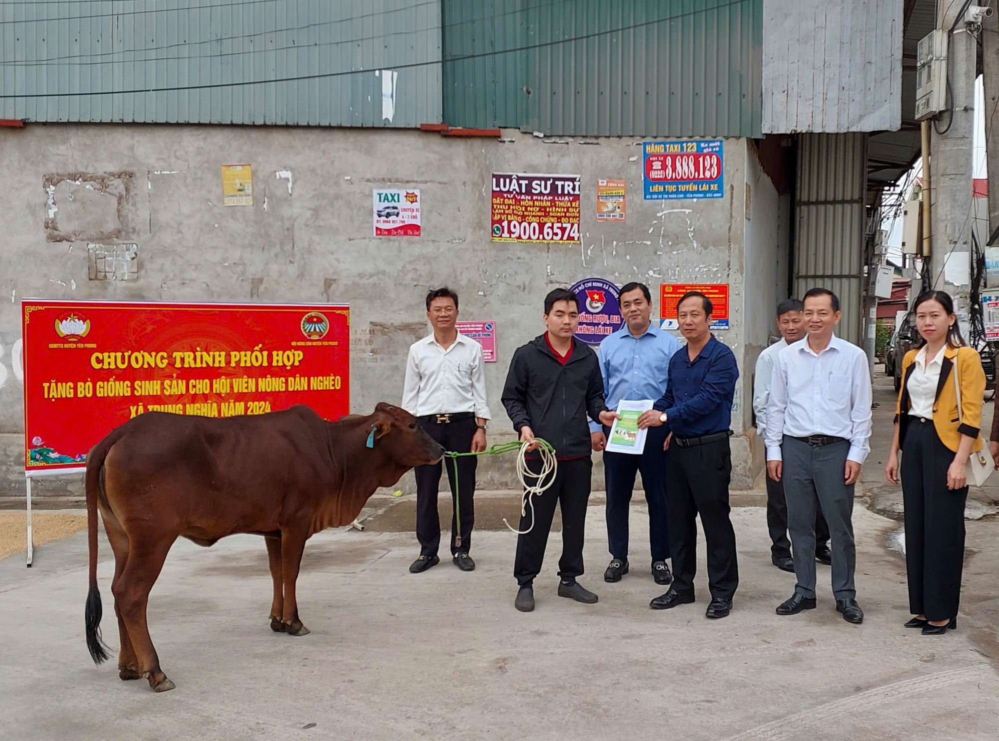 Hội Nông dân huyện Yên Phong (Bắc Ninh) trao tăng bò giống - Ảnh 3.