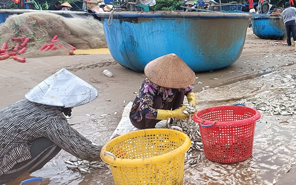 Vô rừng ở Đồng Nai hái rau rừng, rau dại mọc hoang, thương lái săn lùng, bao nhiêu cũng cân tất - Ảnh 3.