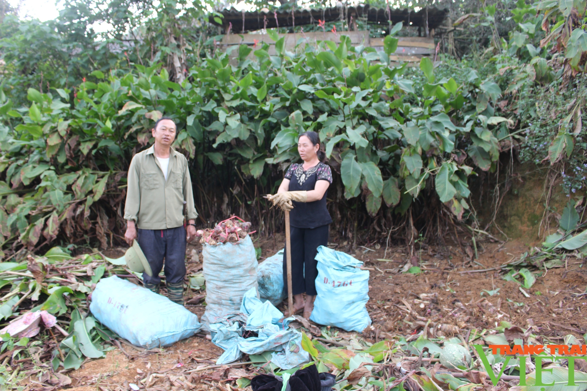 Đồng bào dân tộc Mông xã biên giới Chiềng Tương hiểu biết pháp luật - Ảnh 4.