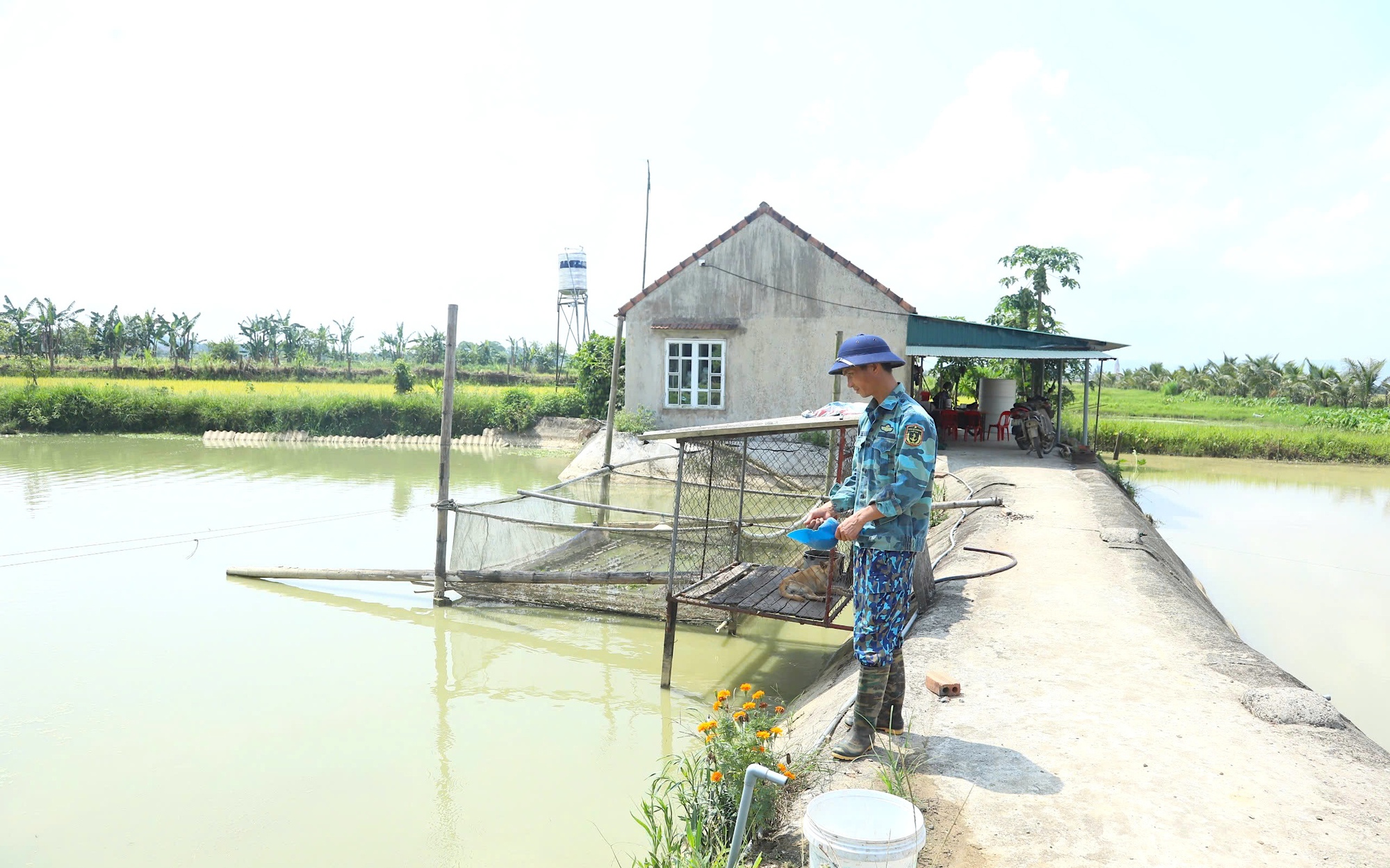 Vô rừng ở Đồng Nai hái rau rừng, rau dại mọc hoang, thương lái săn lùng, bao nhiêu cũng cân tất - Ảnh 6.