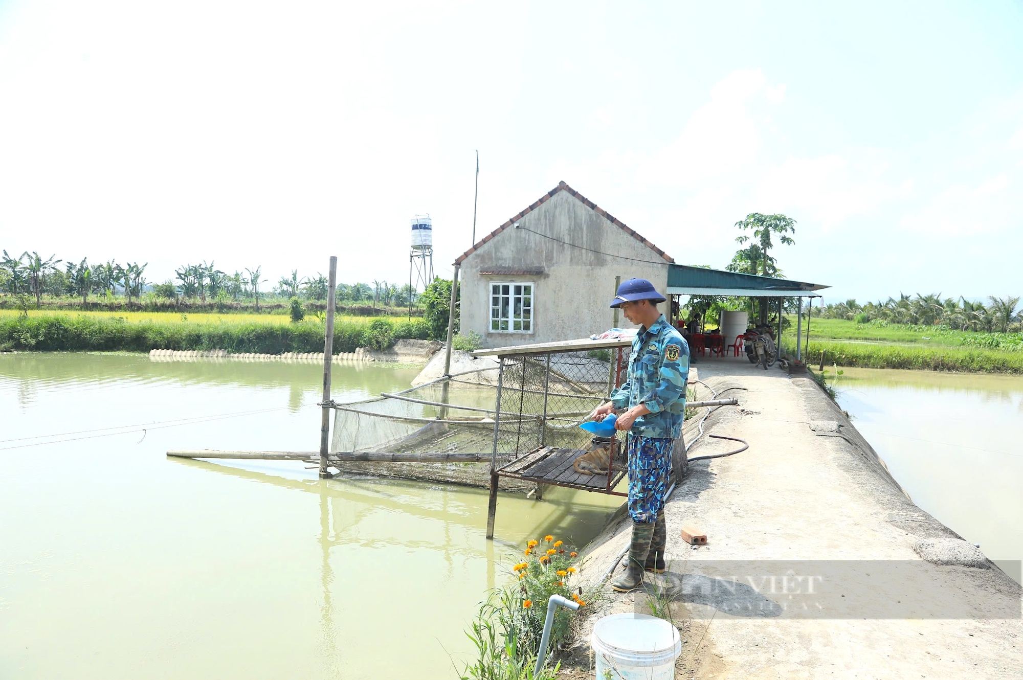 Từ ruộng trũng biến thành trang trại chăn nuôi đủ thứ con, một nông dân Hà Tĩnh thu nhập nửa tỷ đồng/năm - Ảnh 7.