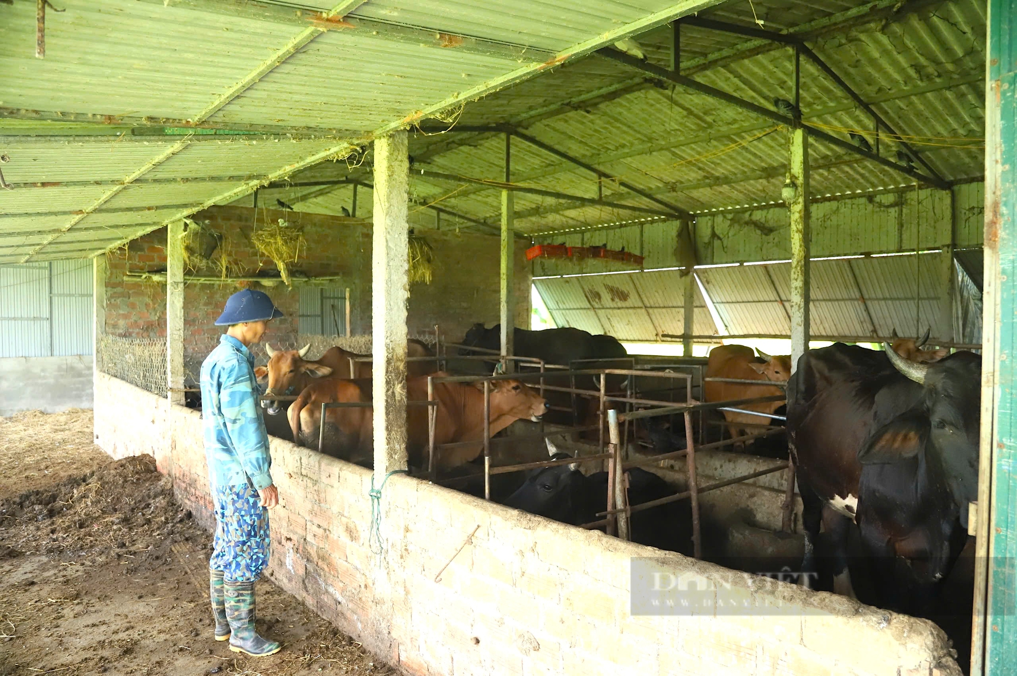 Từ ruộng trũng biến thành trang trại chăn nuôi đủ thứ con, một nông dân Hà Tĩnh thu nhập nửa tỷ đồng/năm - Ảnh 1.