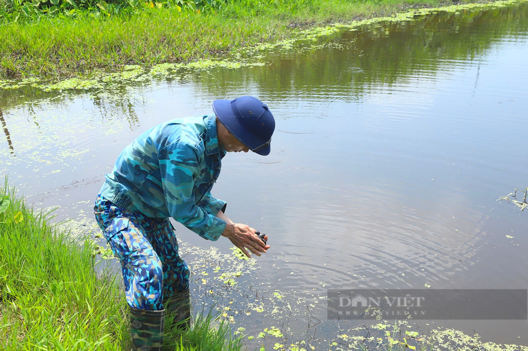 Từ ruộng trũng biến thành trang trại chăn nuôi đủ thứ con, một nông dân Hà Tĩnh thu nhập nửa tỷ đồng/năm - Ảnh 6.