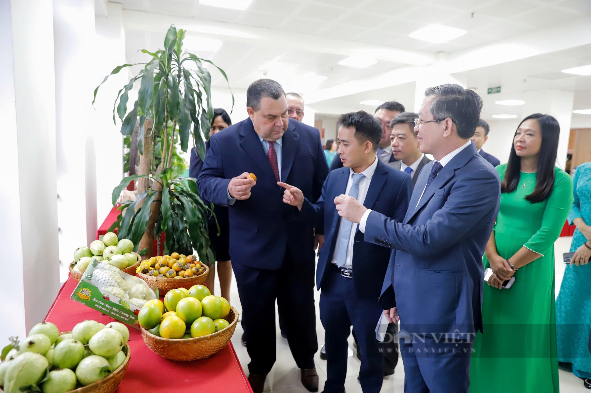 Hội Tiểu nông Cuba ký kết biên bản ghi nhớ tại Hội ND VN và làm việc với Báo NTNN/Dân Việt- Ảnh 9.