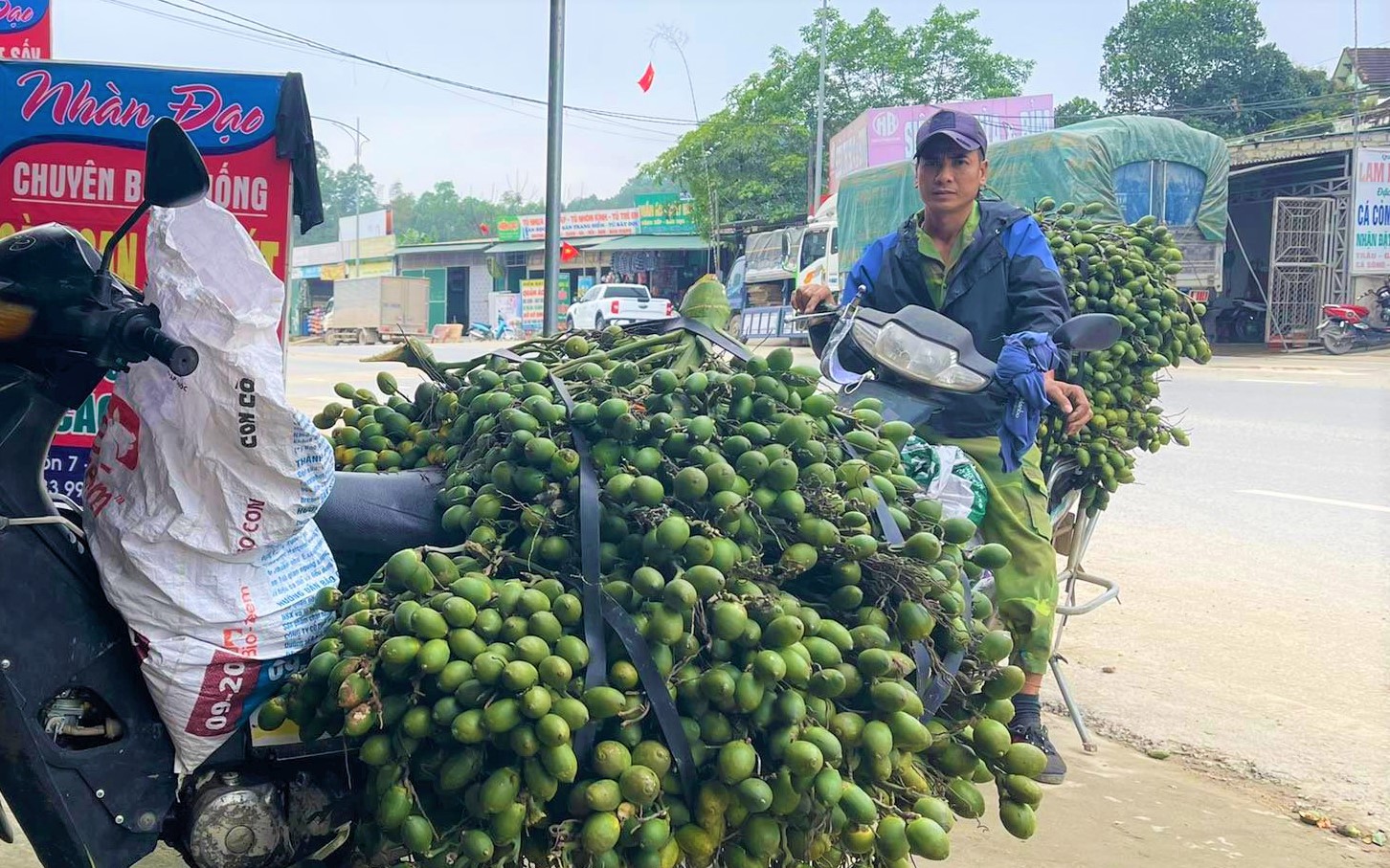 Dưới chân một ngọn núi nổi tiếng Nghệ An, loại quả đặc sản này giá bán cao kỷ lục, sao chả ai vui? - Ảnh 7.