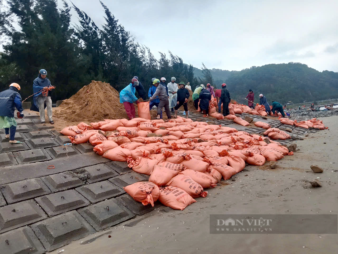 Hà Tĩnh: Hàng trăm người đội mưa gia cố đê chắn sóng khắc phục khẩn cấp xói lở do ảnh hưởng bão số 6- Ảnh 1.