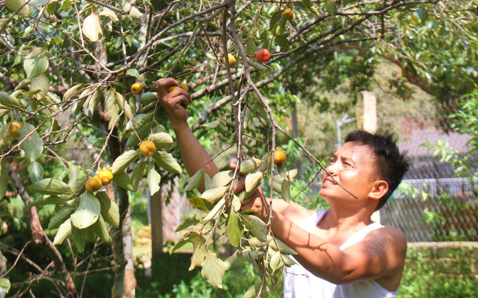 Chủ tịch UBND xã An Nhứt táo bạo tạo sinh kế cho người dân bằng ẩm thực đồng quê ngay giữa cánh đồng - Ảnh 3.