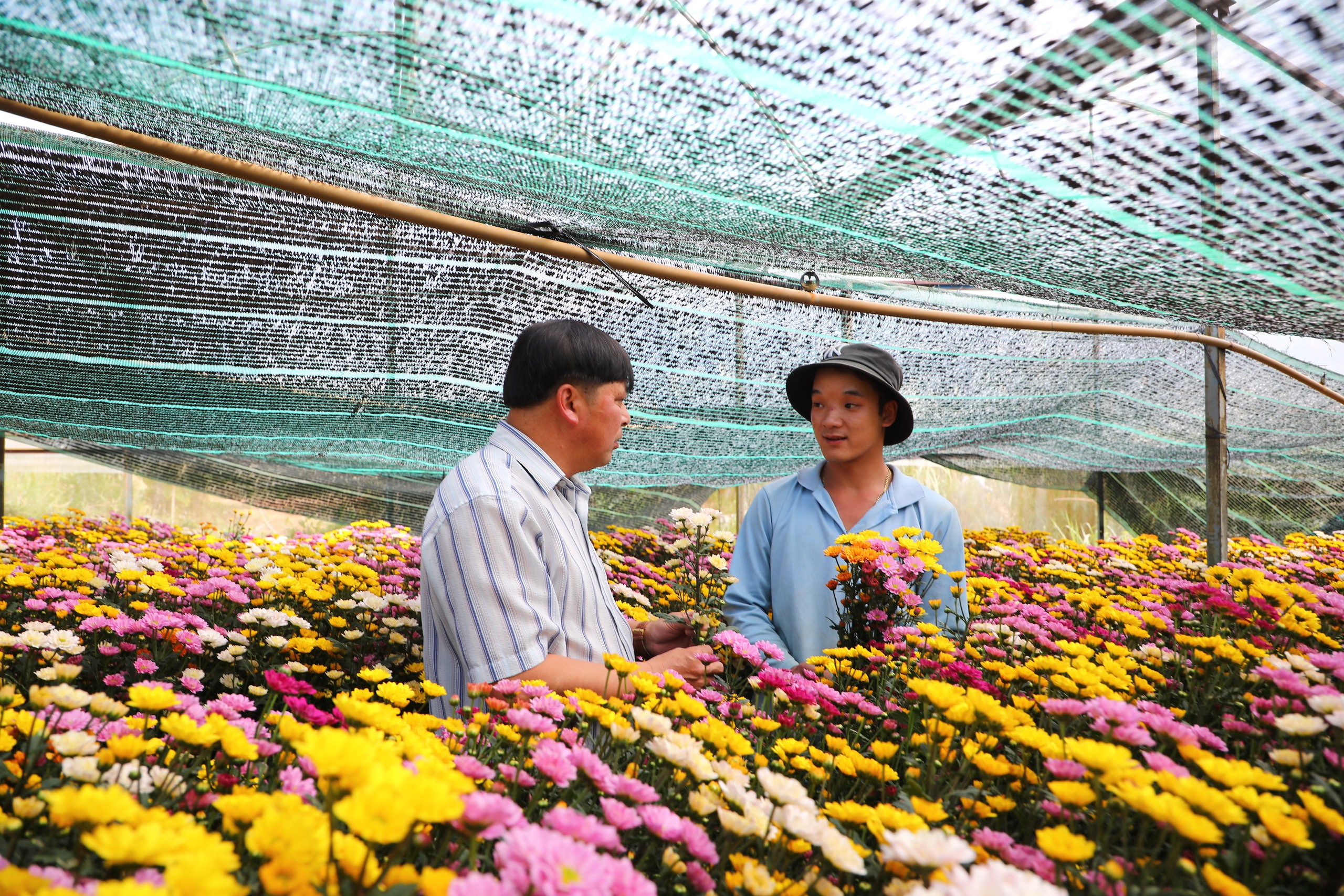 Festival Hoa Đà Lạt lần thứ X: Tôn vinh những giá trị về hoa và nghề trồng hoa - Ảnh 3.