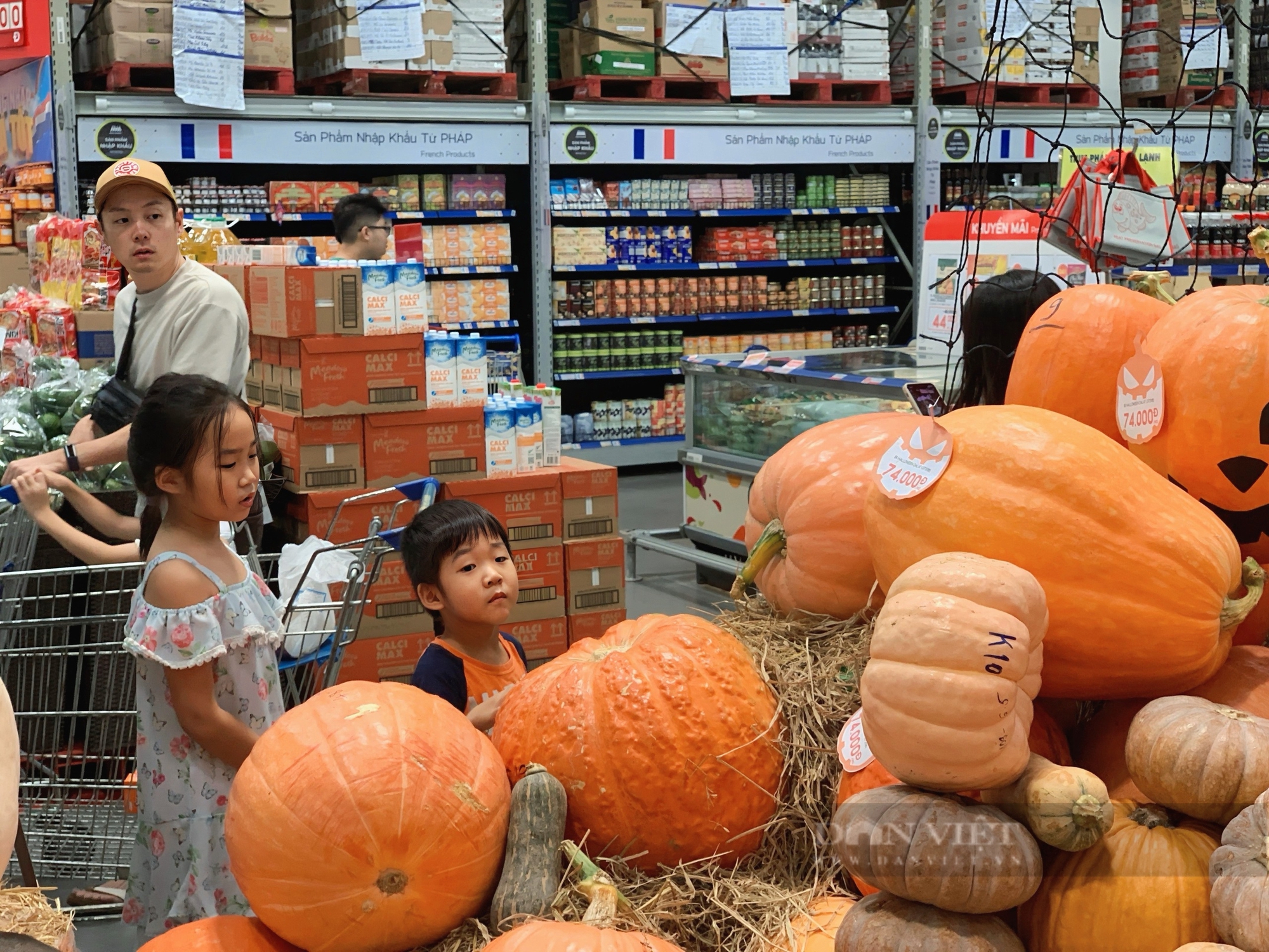 Bí ngô tiền triệu dịp Halloween hết sạch, nhiều nơi không còn hàng để bán - Ảnh 2.