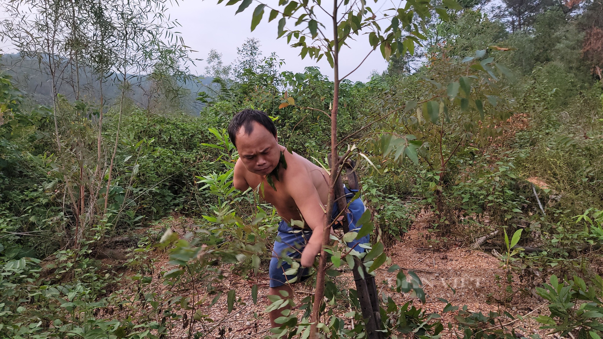 "Kỳ nhân" còn một chân lành ở Hải Dương rớt nước mắt nhìn trang trại tan hoang sau bão - Ảnh 8.