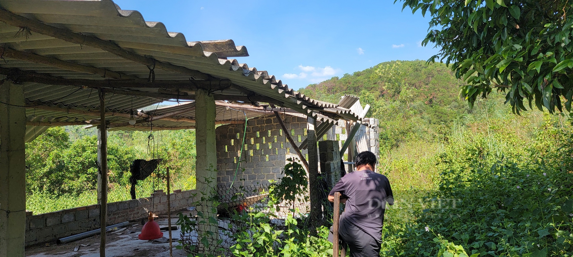 "Kỳ nhân" còn một chân lành ở Hải Dương rớt nước mắt nhìn trang trại tan hoang sau bão - Ảnh 4.