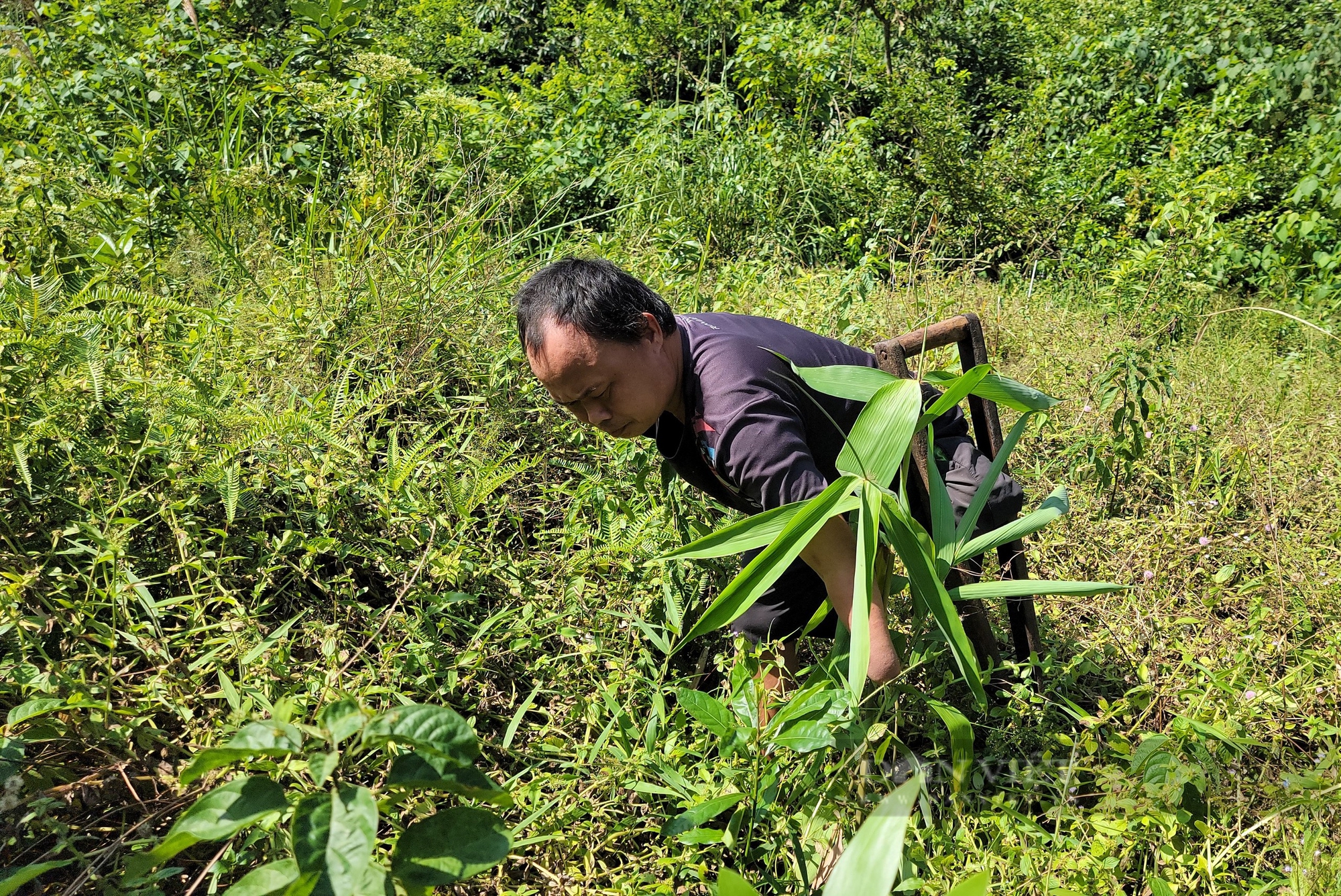 "Kỳ nhân" còn một chân lành ở Hải Dương rớt nước mắt nhìn trang trại tan hoang sau bão - Ảnh 9.