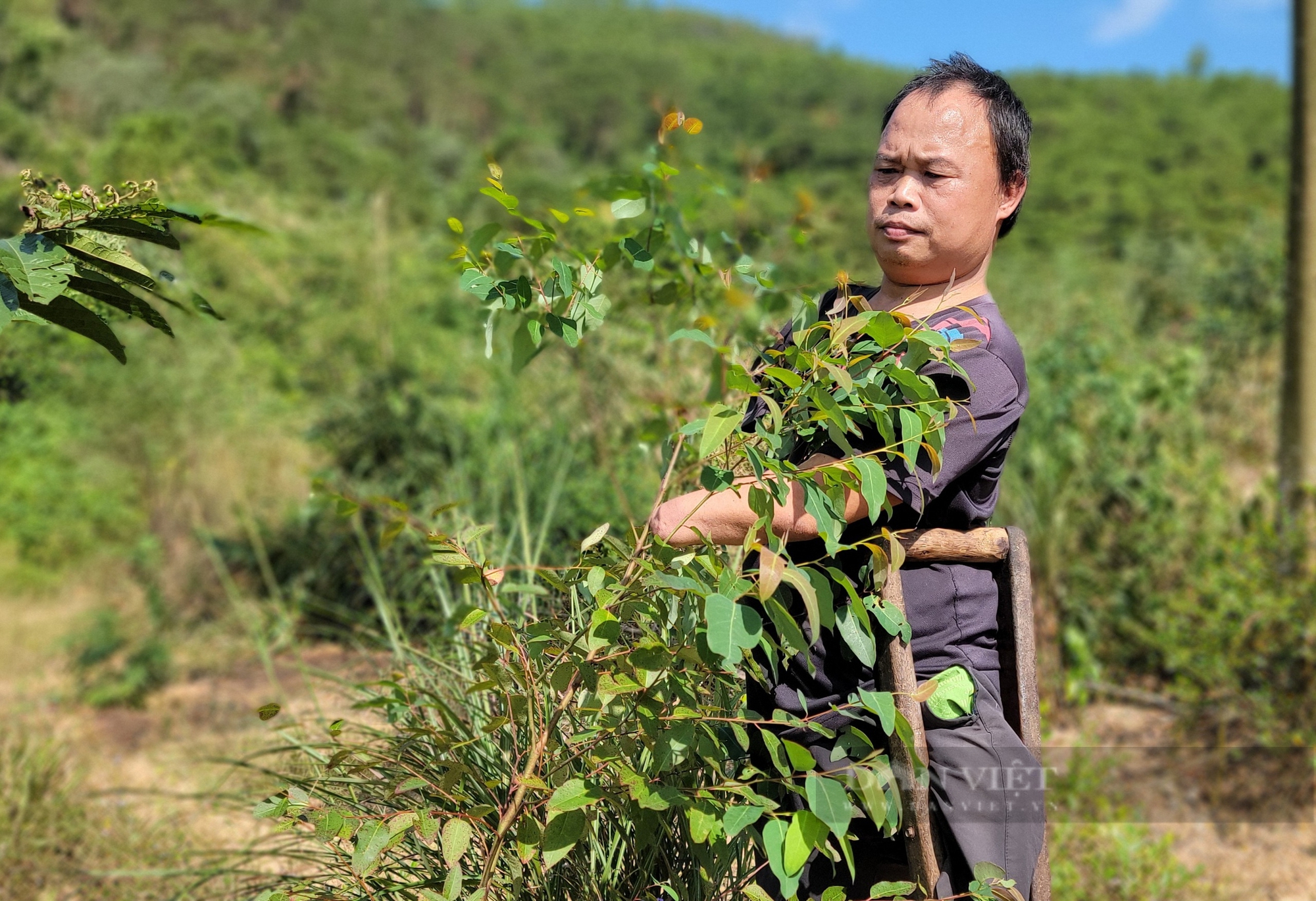 "Kỳ nhân" còn một chân lành ở Hải Dương rớt nước mắt nhìn trang trại tan hoang sau bão - Ảnh 7.