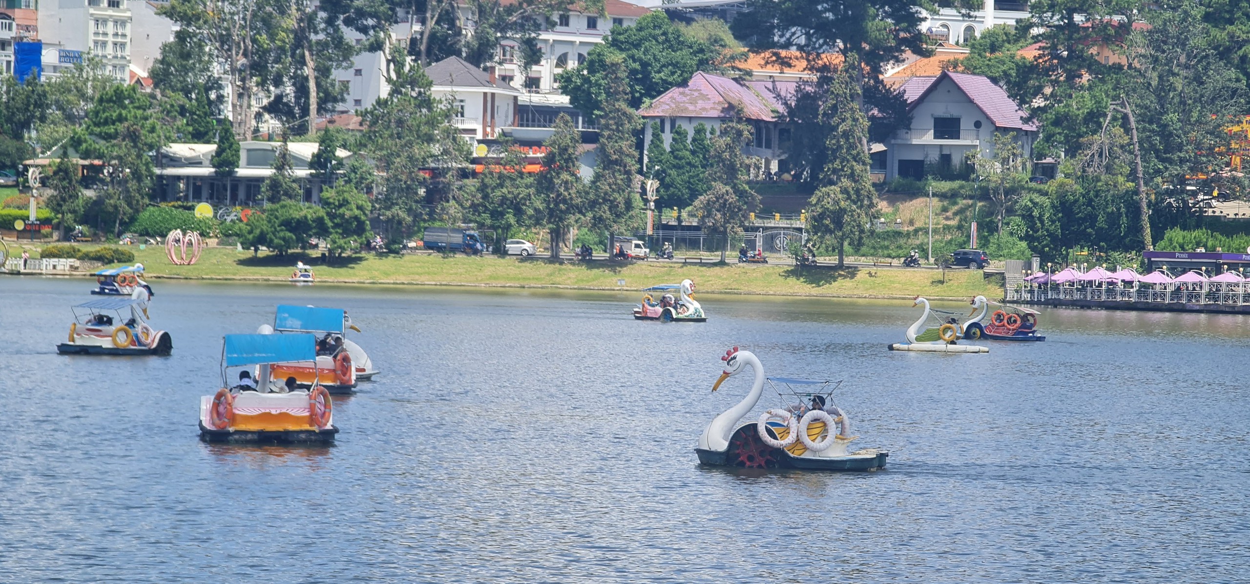 Mỗi năm Lâm Đồng đón hàng triệu du khách, nhưng nguồn nhân lực du lịch chưa “hội nhập” - Ảnh 2.