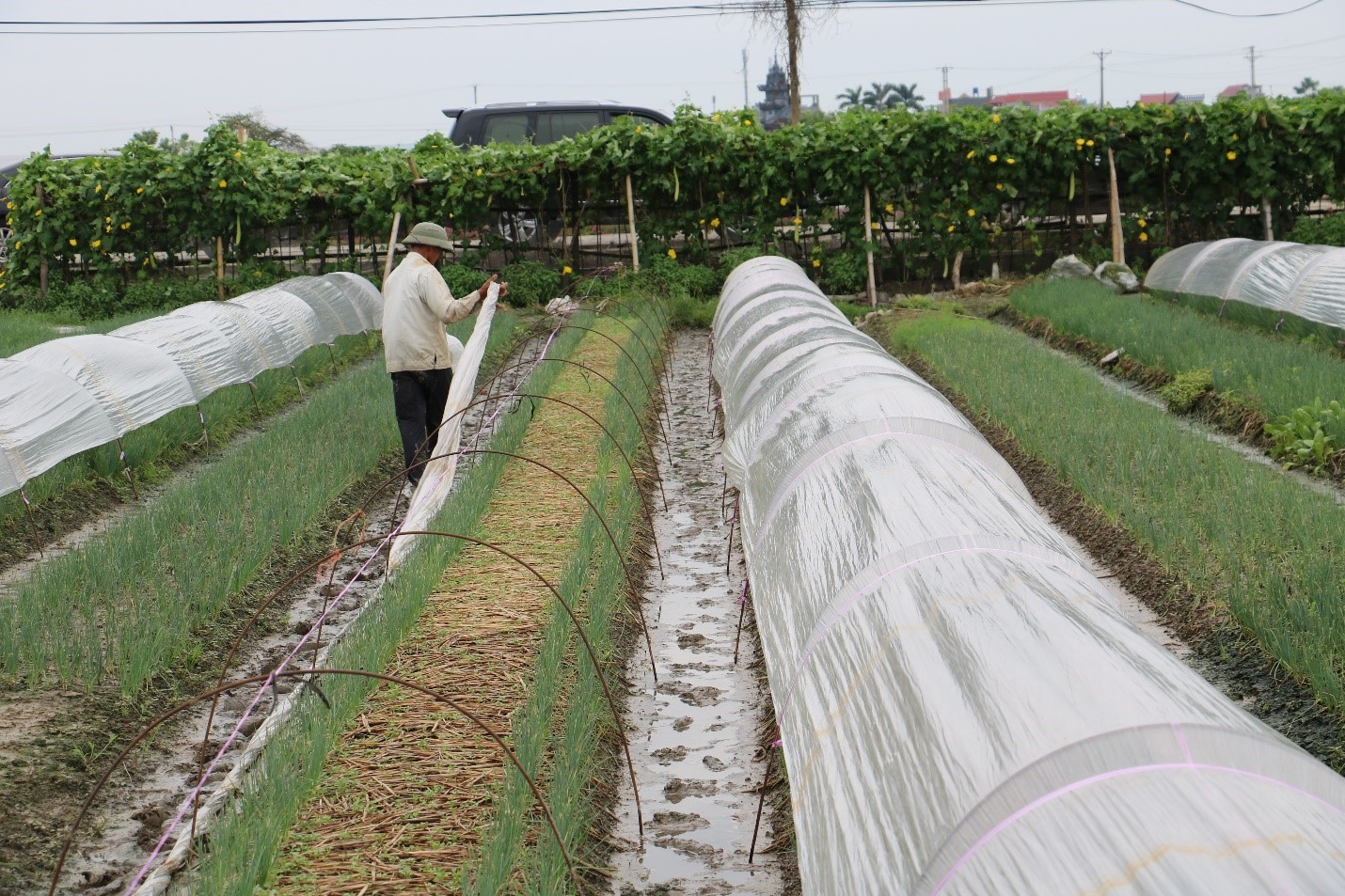 Quỳnh Phụ điển hình xây dựng NTM (kỳ 2): Chủ trương đúng tạo đòn bẩy trúng - Ảnh 2.