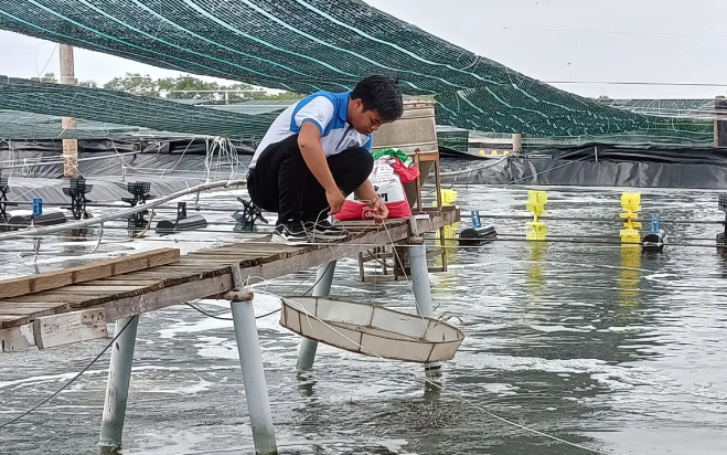 Thị trường cá rô phi biến động, cá tra Việt Nam liệu có hưởng lợi?- Ảnh 2.