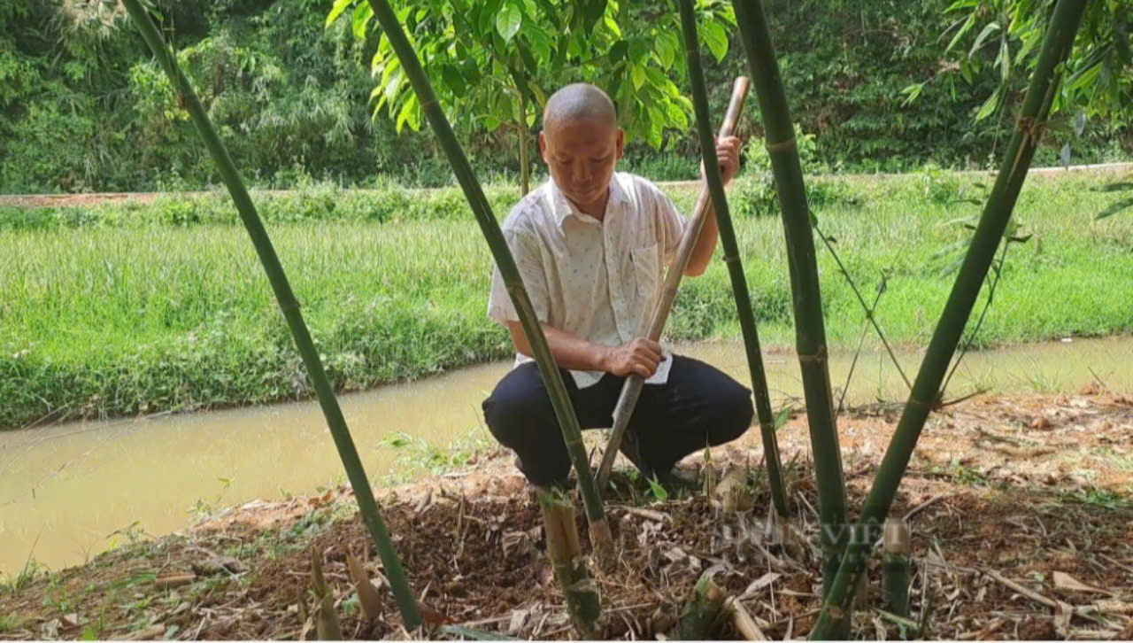 Thái Nguyên: Quỹ hỗ trợ nông dân là “điểm tựa” hỗ trợ vốn hiệu quả cho nông dân - Ảnh 3.