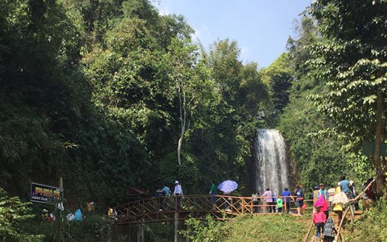 Bắt loài cá chình suối ăn bổ dưỡng ví như "nhân sâm" ở vùng rừng núi Tây Nam Quảng Trị - Ảnh 4.