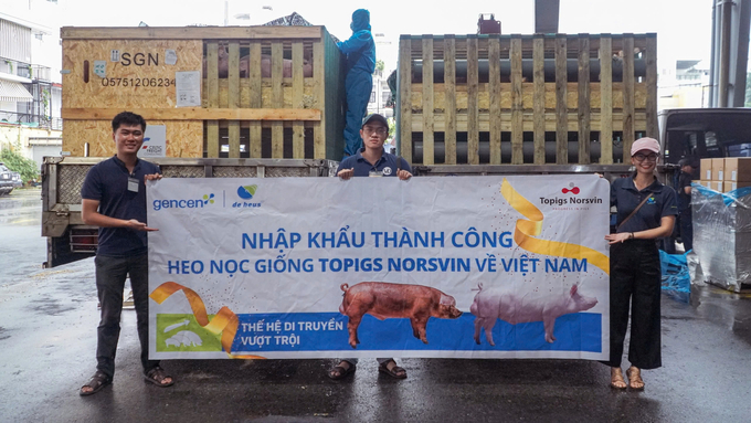 De Heus Việt Nam tiếp tục nhập lô heo đực giống Topigs Norsvin hàng đầu thế giới - Ảnh 1.