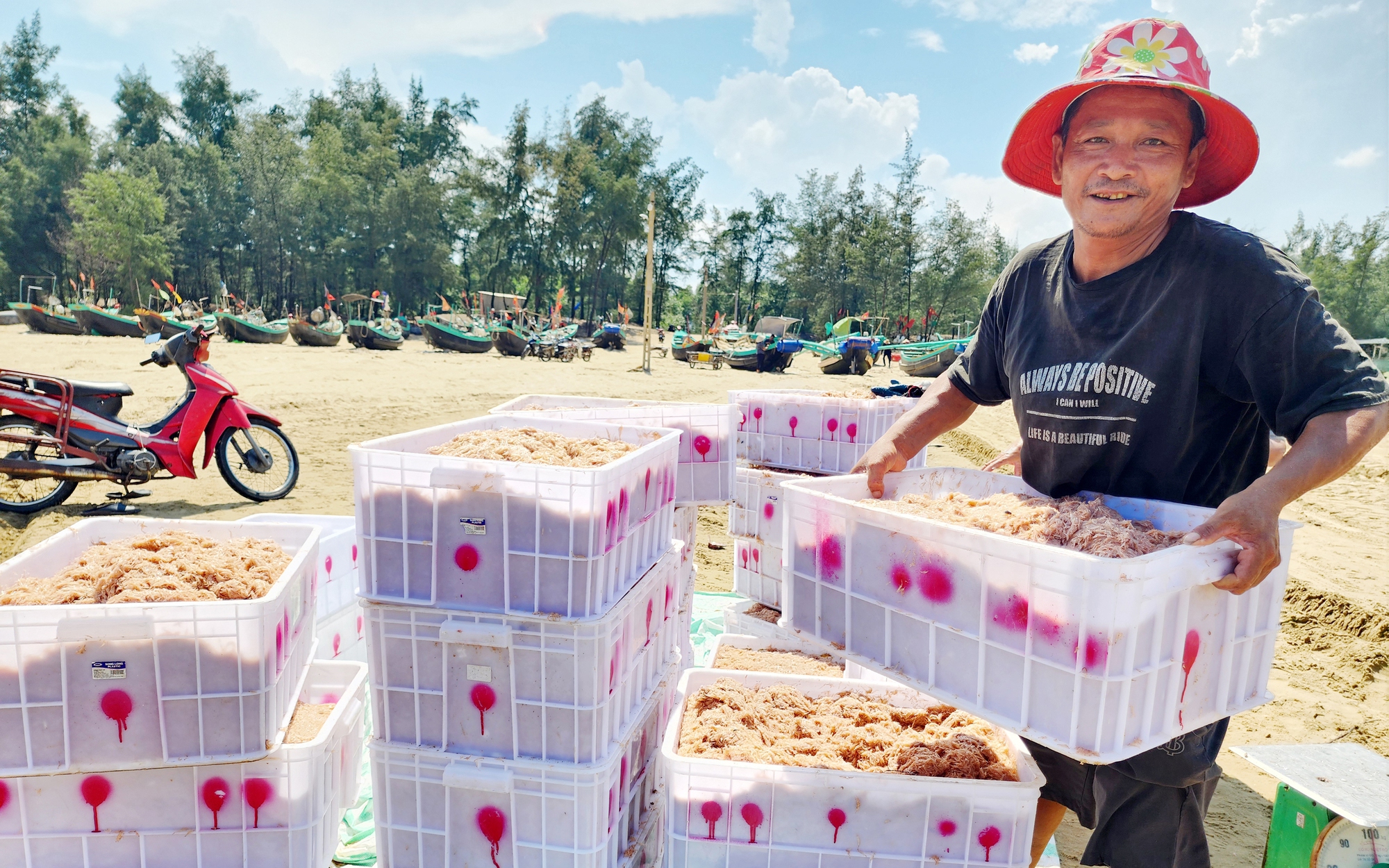 Giám đốc hợp tác xã ở Hà Giang liên kết với nông dân xây dựng thương hiệu cho giống bò vàng đặc sản - Ảnh 5.