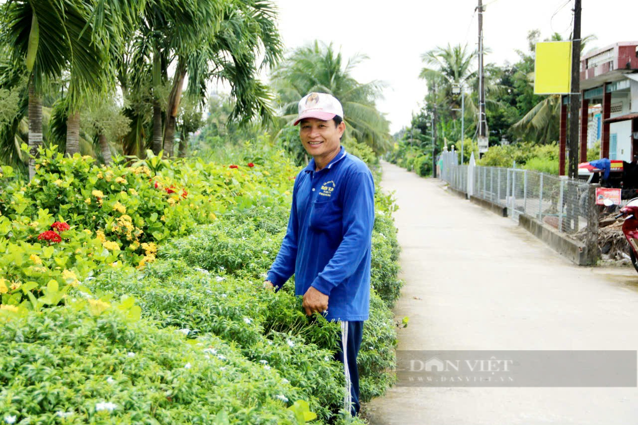 Tân Hiệp tập trung nguồn lực về đích huyện nông thôn mới nâng cao- Ảnh 1.