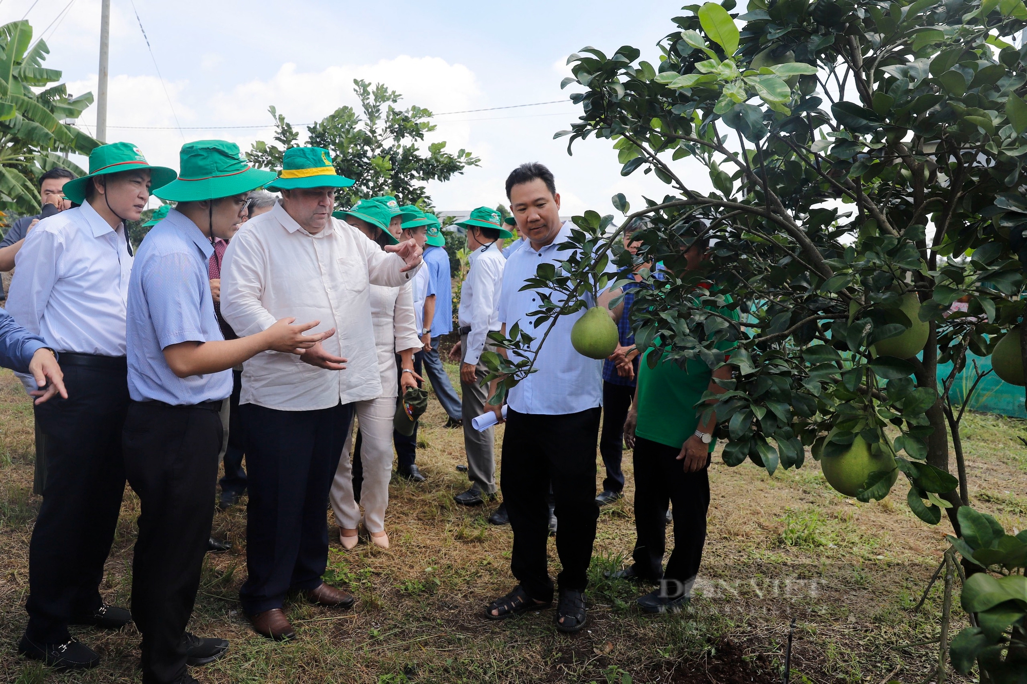 Hội Tiểu nông Cuba tham quan vườn bưởi theo hướng 5 không ở Đồng Nai- Ảnh 1.