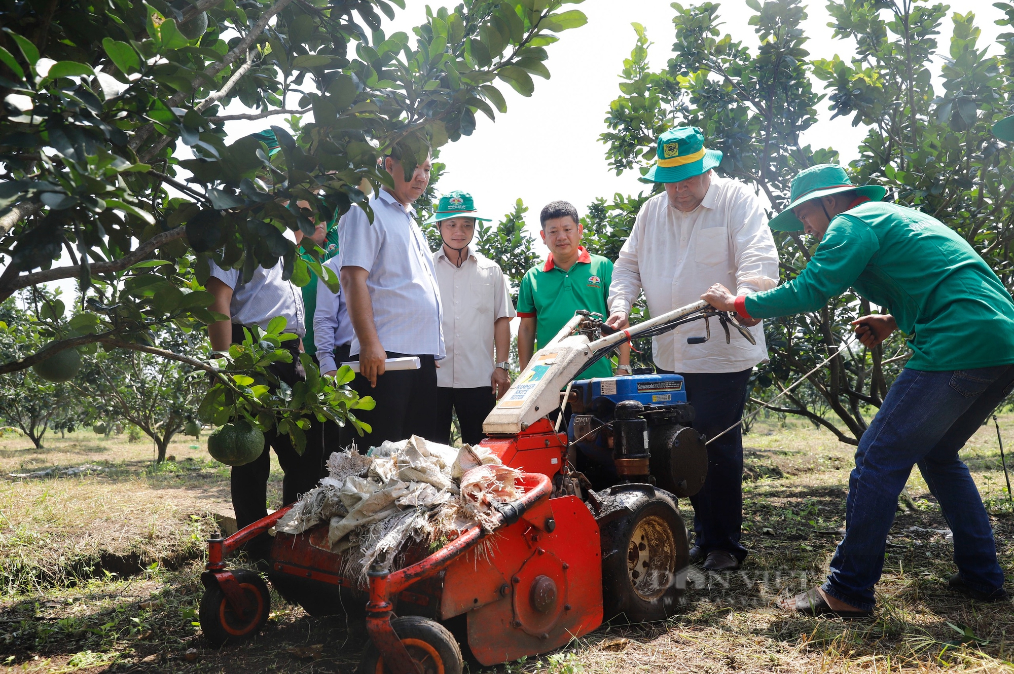 Hội Tiểu nông Cuba tham quan vườn bưởi theo hướng 5 không ở Đồng Nai- Ảnh 5.