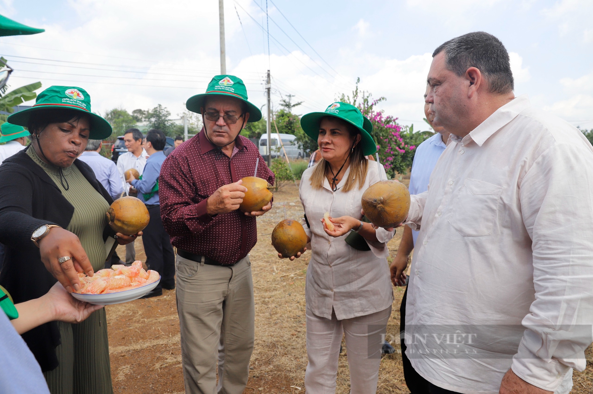 Hội Tiểu nông Cuba tham quan vườn bưởi theo hướng 5 không ở Đồng Nai- Ảnh 10.