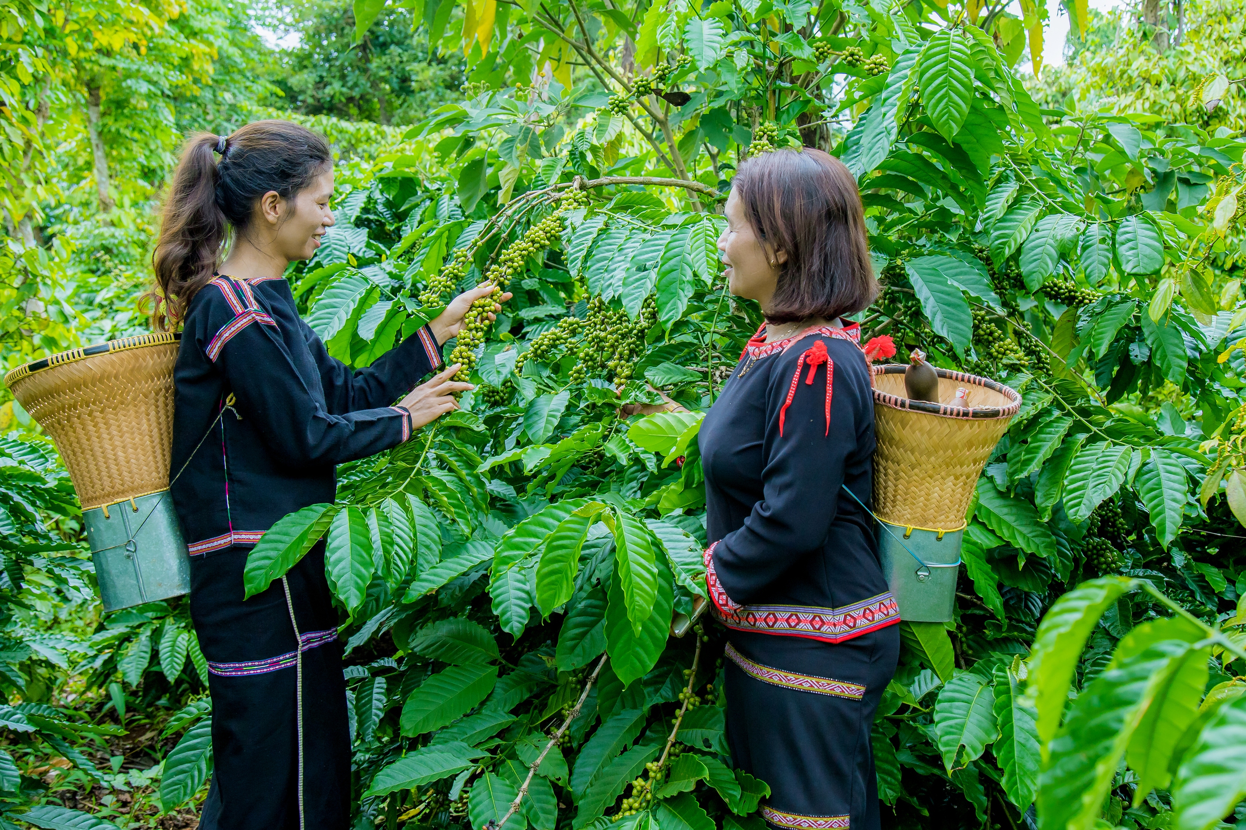 Agribank Đông Gia Lai đẩy mạnh hỗ trợ doanh nghiệp, thúc đẩy phát triển kinh tế Tây Nguyên- Ảnh 4.