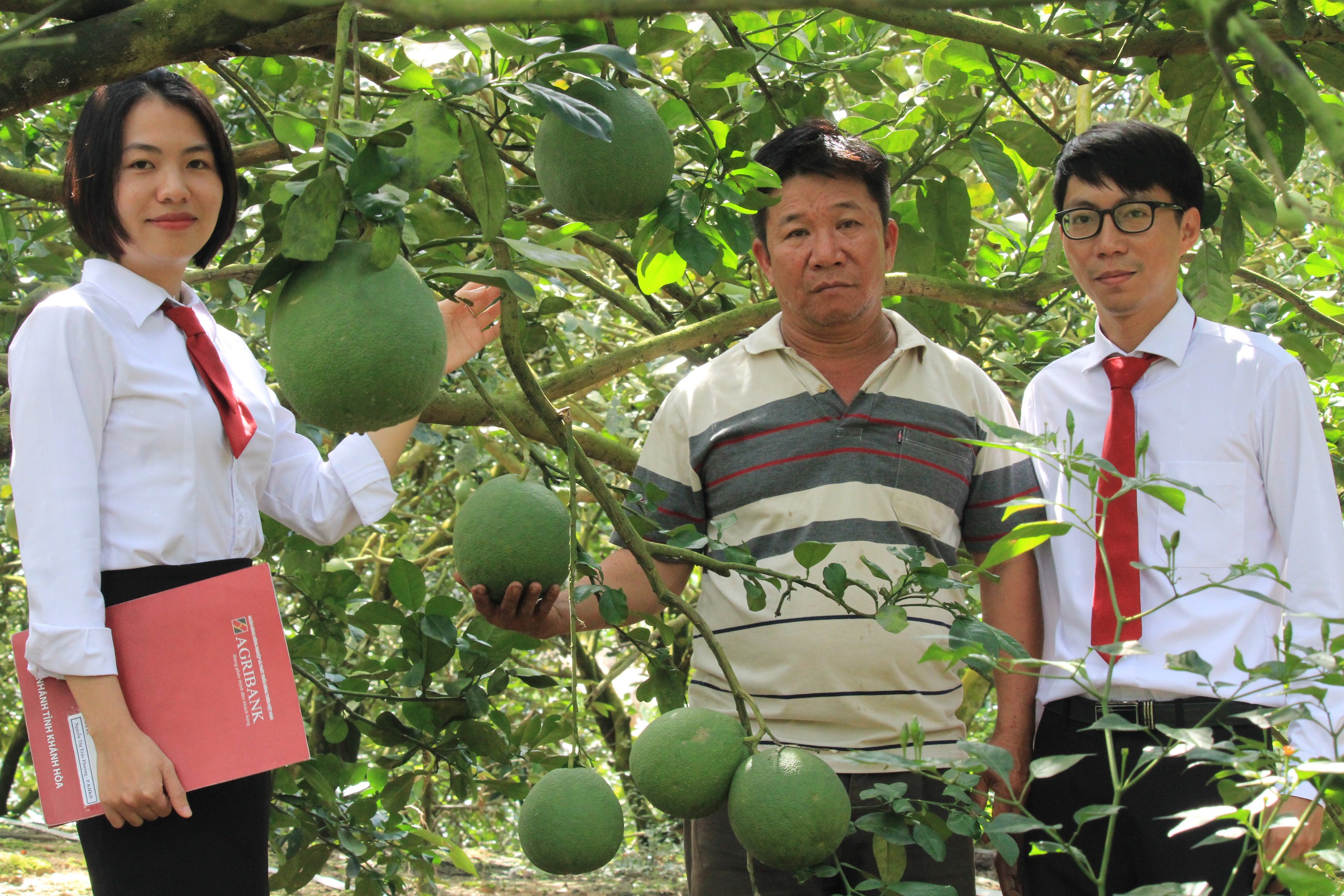 Khánh Hòa: Nông dân miền núi Khánh Vĩnh làm giàu nhờ vốn ngân hàng- Ảnh 2.