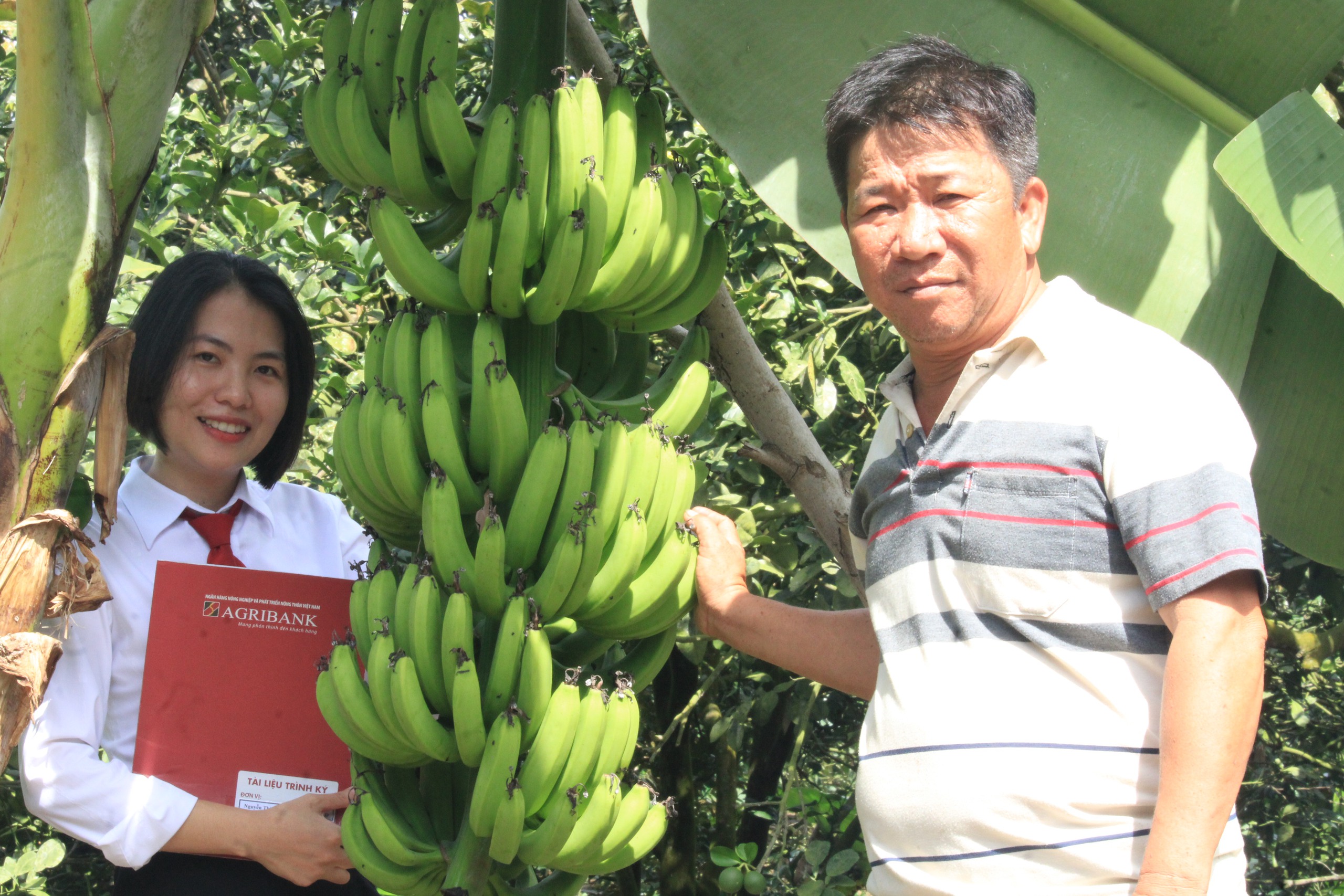 Khánh Hòa: Nông dân miền núi Khánh Vĩnh làm giàu nhờ vốn ngân hàng- Ảnh 3.