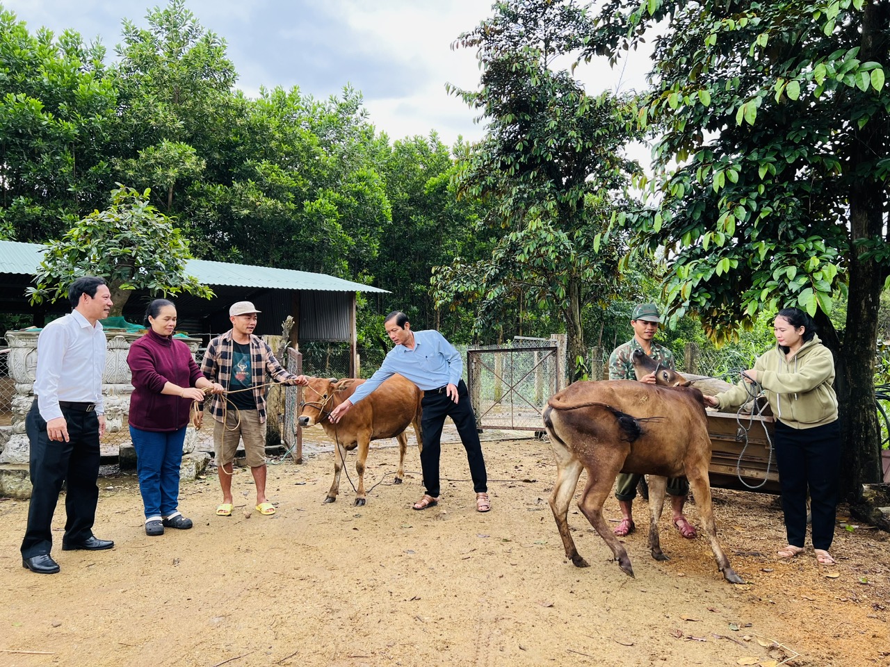 Trao bò giống cho hội viên nông dân nghèo, khó khăn ở Quảng Nam- Ảnh 2.